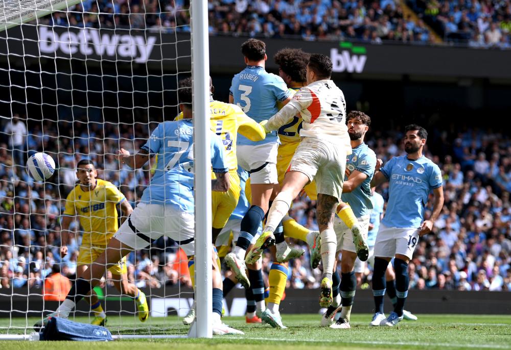 加维的稳定 加维的稳定