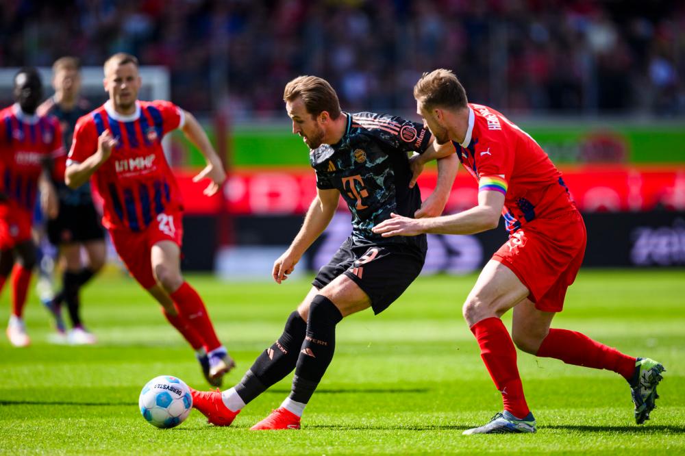 营养成分 营养成分